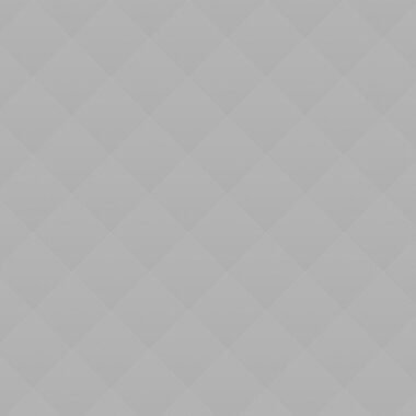 Precious Lavender Tulips